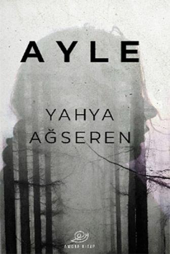 Ayle  Frontansicht 1