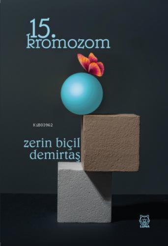15. Kromozom  Frontansicht 1