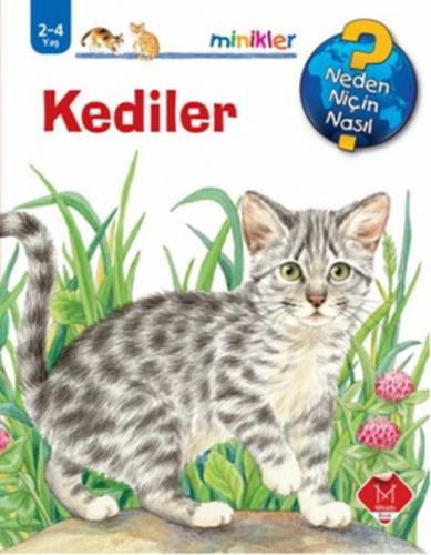 Kediler  Frontansicht 1