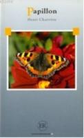 Papillon  Frontansicht 1