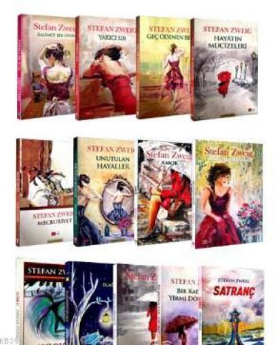 Stefan Zweıg Seti 13 Kitap  Frontansicht 1