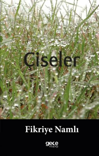 Çiseler  Frontansicht 1