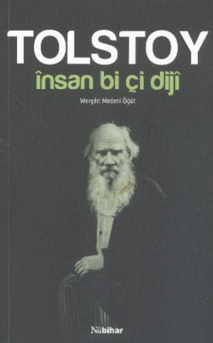 İnsan Bi Çi Diji  Frontansicht 1