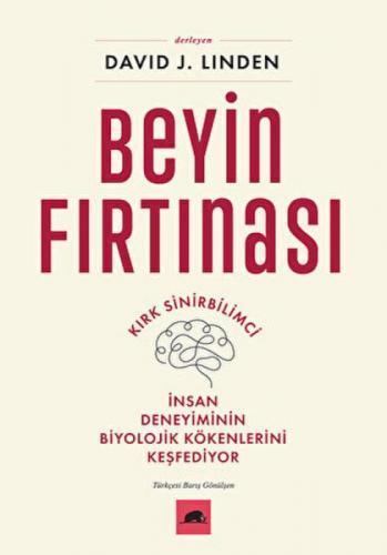 Beyin Fırtınası  Frontansicht 1