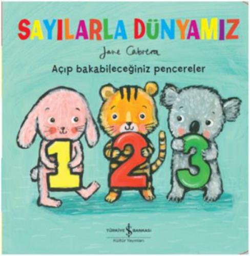 Sayılarla Dünyamız  Frontansicht 1