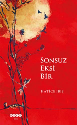 Sonsuz Eksi Bir  Frontansicht 1