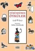 Düşündüren Öyküler  Frontansicht 1
