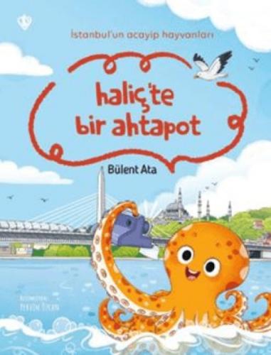 İstanbul'un Acayip Hayvanları Haliçte Bir Ahtapot  Frontansicht 1