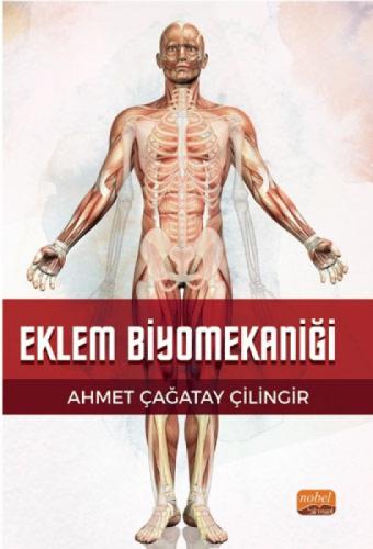 Eklem Biyomekaniği  Frontansicht 1
