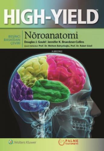 Nöroanatomi Hıgh Yıeld  Frontansicht 1