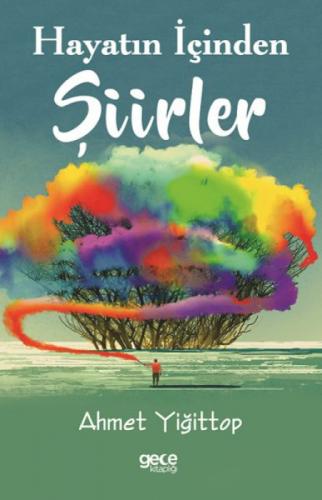Hayatın İçinden Şiirler  Frontansicht 1