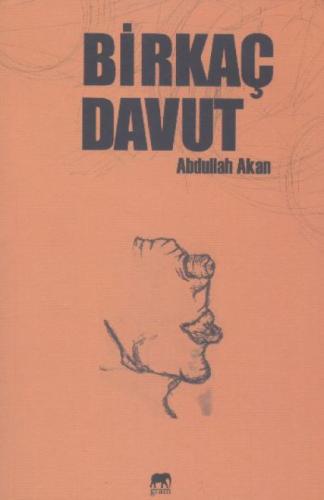 Birkaç Davut  Frontansicht 1