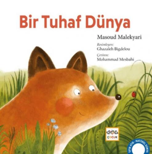Bir Tuhaf Dünya  Frontansicht 1