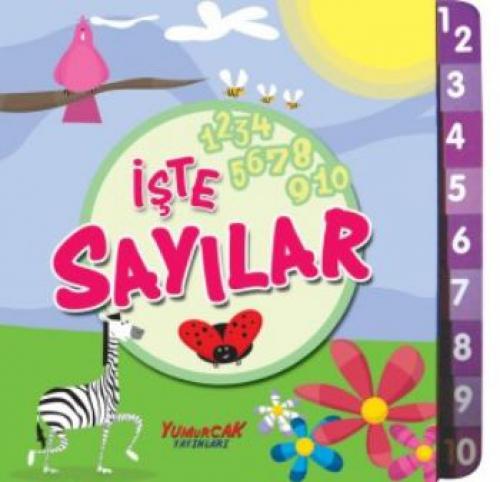 İşte Sayılar  Frontansicht 1