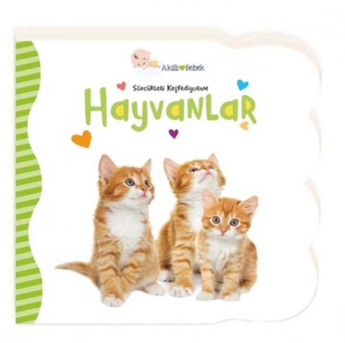 Hayvanlar - Sözcükleri Keşfediyorum  Frontansicht 1