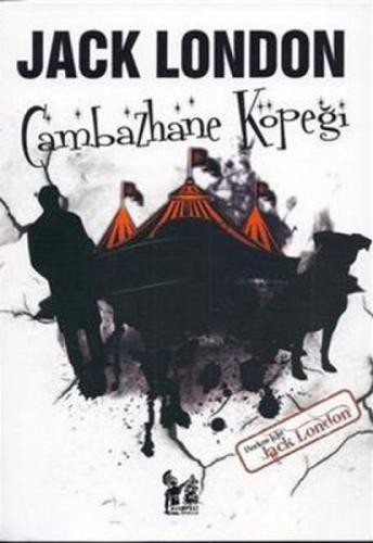 Cambazhane Köpeği  Frontansicht 1