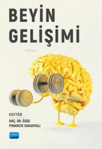 Beyin Gelişimi  Frontansicht 1