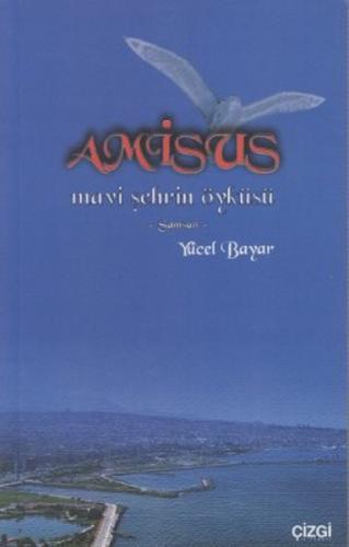 Amisus  Frontansicht 1