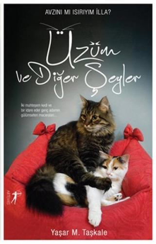 Üzüm Ve Diğer Şeyler  Frontansicht 1