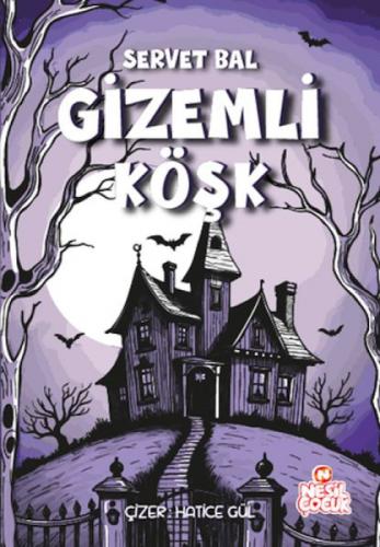 Gizemli Köşk  Frontansicht 1