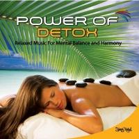 Power Of Detox (CD)  Frontansicht 1