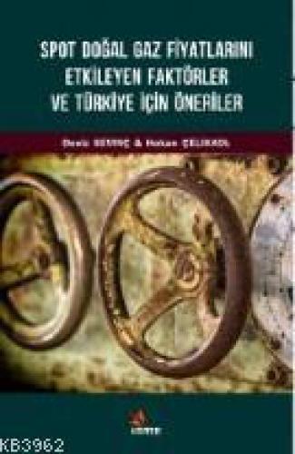 Spot Doğal Gaz Fiyatlarını Etkileyen Faktörler ve Türkiye İçin Öneriler  Frontansicht 1