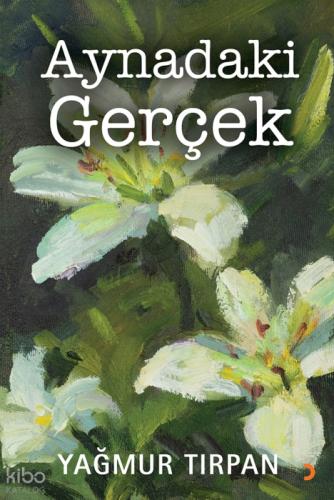 Aynadaki Gerçek  Frontansicht 1