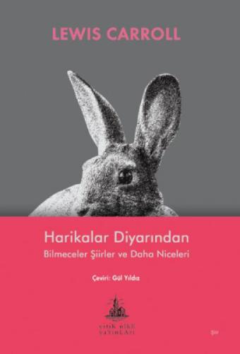 Harikalar Diyarından Bilmeceler Şiirler ve Daha Niceleri  Frontansicht 1