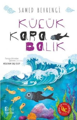 Küçük Kara Balık  Frontansicht 1