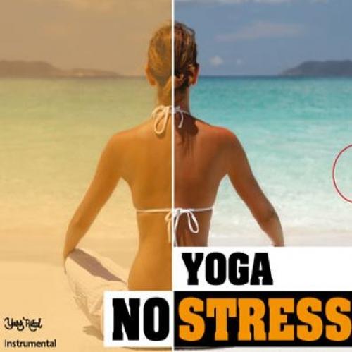 No Stress  Frontansicht 1