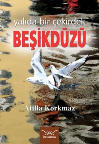 Beşikdüzü  Frontansicht 1