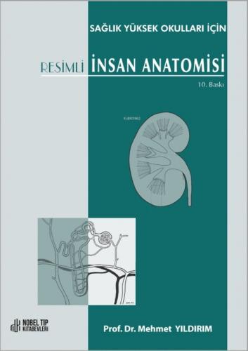 Resimli İnsan Anatomisi 10.Baskı  Frontansicht 1