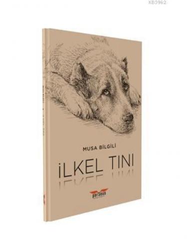 İlkel Tını  Frontansicht 1