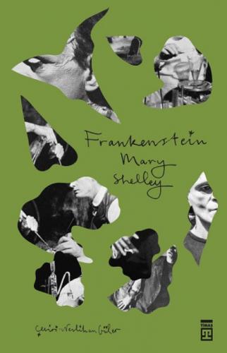 Frankenstein  Frontansicht 1