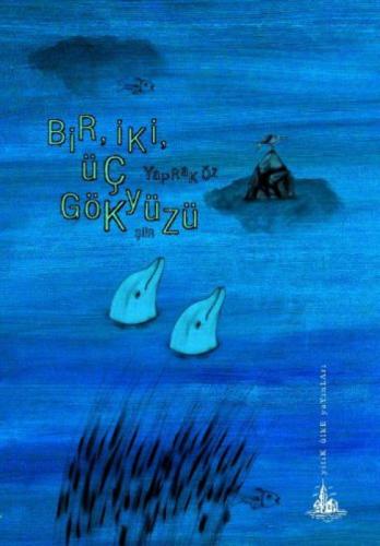 Bir, İki, Üç Gökyüzü  Frontansicht 1