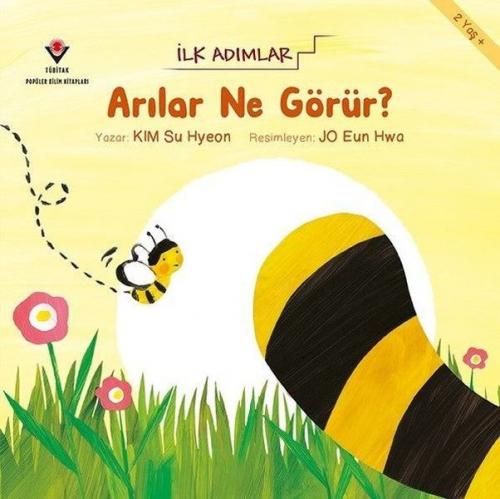 Arılar Ne Görür? - İlk Adımlar  Frontansicht 1