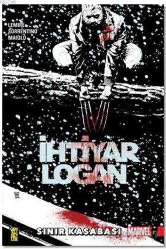 İhtiyar Logan 2  Frontansicht 1