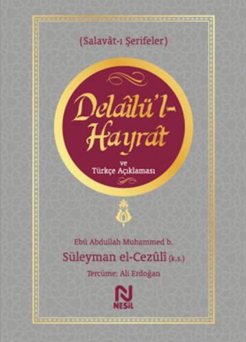 Delailü'l-Hayrat ve Türkçe Açıklaması  Frontansicht 1
