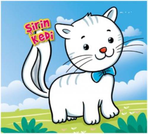 Şirin Kedi  Frontansicht 1