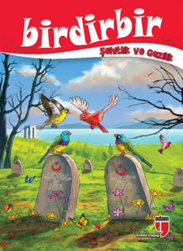Birdirbir  Frontansicht 1