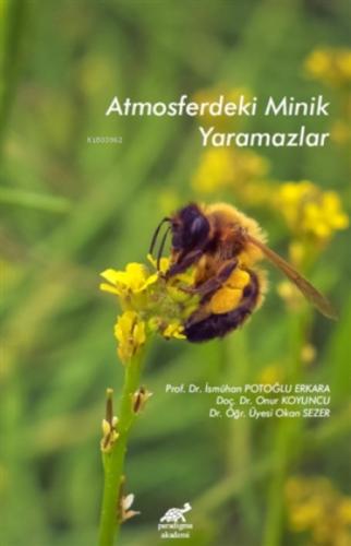 Atmosferdeki Minik Yaramazlar  Frontansicht 1