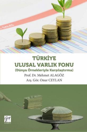 Türkiye Ulusal Varlık Fonu  Frontansicht 1