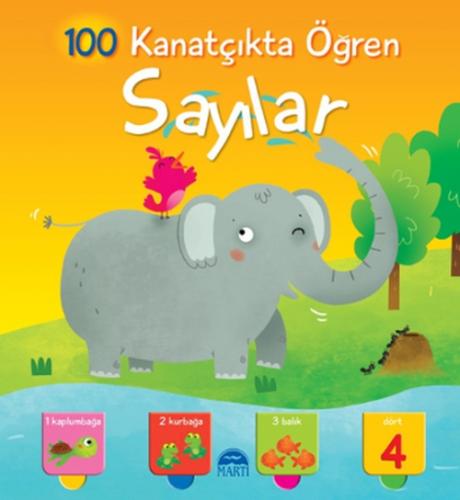 Sayılar  Frontansicht 1