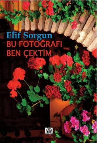 Bu Fotoğrafı Ben Çektim  Frontansicht 1