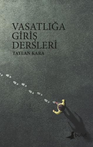 Vasatlığa Giriş Dersleri  Frontansicht 1