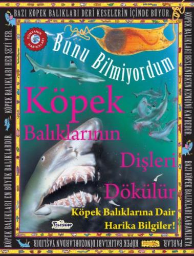 Köpek Balıklarının Dişleri Dökülür - Bunu Bilmiyordum Köpek Balıklarına Dair Harika Bilgiler!  Frontansicht 1