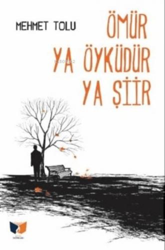 Ömür Ya Öyküdür Ya Şiir  Frontansicht 1
