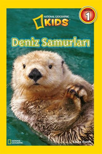 Deniz Samurları-Seviye 1  Frontansicht 1