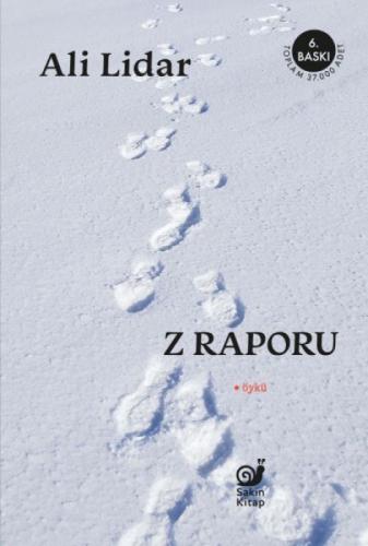 Z Raporu  Frontansicht 1