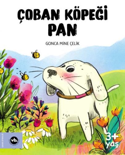 Çoban Köpeği Pan  Frontansicht 1